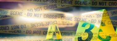 Effective Criminal Investigator ...