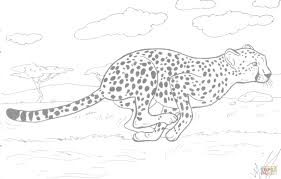 Some of the coloring pages shown here are cheetah coloring, big cheetah for kids coloring point animal kids, cheetah coloring. Pin On Printables