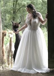 Pin On Plus Size Wedding Dresses