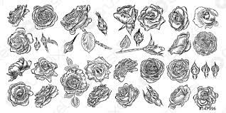 Animales, flechas, tatuajes tribales, palabras, frases y mucho más. Concepto De Tatuaje Rosa Flores Conjunto Tatuaje Idea Coleccion Vector De Stock Crushpixel