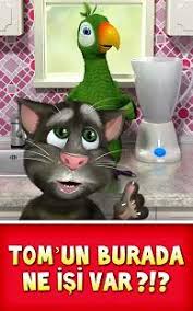 Telefona Konusan Papagan Pierre Indir Apk Oyun Ve Uygulama Indirme Sitesi