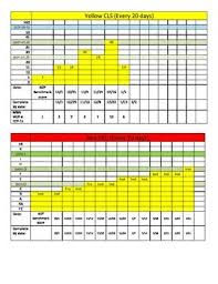 Mclass Trc And Dibels Data Progress Monitoring 1st Grade