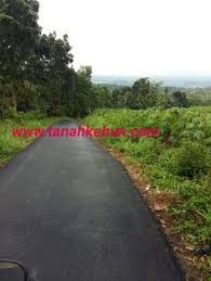 Rp 1.500.000.000 di jual kebun durian pendowo purworejo. 13 Dijual Tanah Kebun Di Bogor Ideas Cianjur Lahan Bogor