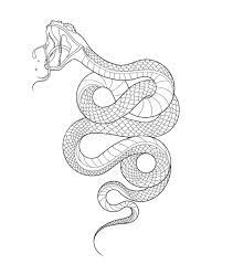 Asia On Instagram Disponibile Tattoo Illustration Snake Snaketattoo Snake Tattoo Design Insect Tattoo Sketch Tattoo Design
