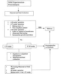 Preeclampsia And Eclampsia Glowm