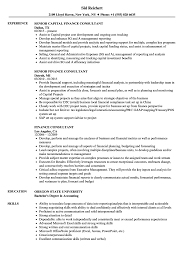 This is especially important for companies that heavily rely on automated financial and accounting transactions. Finance Consultant Resume Samples Velvet Jobs