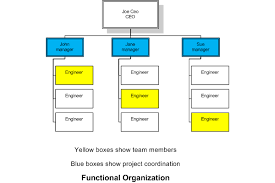 organizational structure within a company for pmps codeproject