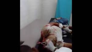 Tarde que temprano el muerto tendrá que darles la suerte. Herido En Accidente Cerca A San Onofre El Gran Martin Elias Video Diario La Libertad