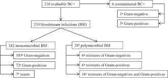 Evaluation Of The Eplex Blood Culture Identification Panels For Detection Of Pathogens In Bloodstream Infections Journal Of Clinical Microbiology