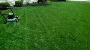 Synlawn putting green products are engineered using nylon fibers. Make Backyard Chipping Greens Backyard Course 2014 Youtube