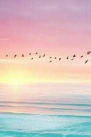 Download and use 100,000+ pastel background stock photos for free. Pastel Sunset Follow Me On Pinterest For More Gorgeous Aesthetics Lifeinblonde Fondos De Pantalla Esteticos Fondos De Pantallla Fondos De Pantalla Playas