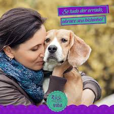 Clínica Veterinária Zoo Vida