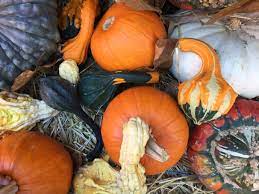 The toddler area includes a soft play zone and a small climbing structure with a tunnel and a slide. Halloween Events And Trick Or Treat Times Around Columbus