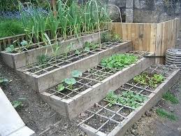 Hillside Vegetable Garden Raised Beds For A Slope Bamboo Canes Discourage Cats From Using It As Their Litte Sloped Garden Apartment Vegetable Garden Veg Garden