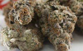 Cookie monster strain quick facts: Monster Cookies Cannabis Strain Information Cannasos