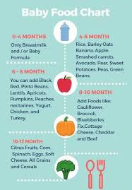 What do you need to make homemade baby food? Food Ideas For Your 4 To 6 Month Old Baby Baby Food Chart Baby First Foods Baby Eating