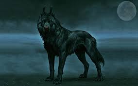 Download Wallpapers Black Wolf Night Green Eyes Moon Fog Wildlife Besthqwallpapers Com Cute Wolf Drawings Black Wolf Canine Art