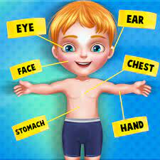 This worksheet is meant for small children. My Body Parts Human Body Parts Learning For Kids Amazon De Apps Fur Android