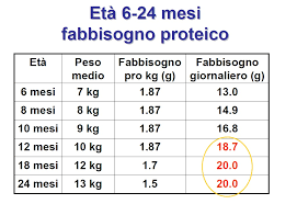 Quanta pasta a 20 mesi? Svezzamento Le Quantita