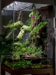 Click The Image To Open In Full Size Aquarium Reptile Habitat Frog Terrarium