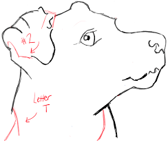 Not all animal drawings need to fit the entire animal on one sheet of paper. How To Draw A Terrier S Face Dog S Face With Easy Steps How To Draw Step By Step Drawing Tutorials