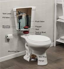 Toilet Parts Wall Hung Toilet Home Depot Bathroom Bathroom Renovation Cost