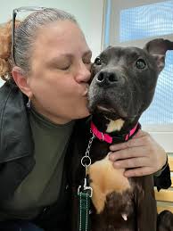 Titus' 10 week check up: 11 pounds, 8 ounces