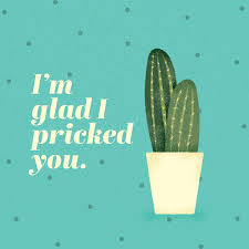 Since there's been poetry, there's been love poems. 50 Plant And Cactus Puns For Your Inner Plant Lady Proflowers