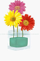 From adding common household items (such as a little bleach, apple cider vinegar or vodka) to the flower water to storing the blooms in the fridge overnight (yes, really!), these. Flower Care 101 A Touch Of Heaven Floral Designs