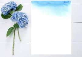 Blank Beach Wedding Invitation Templates Wedding Invitation Templates Funny Wedding Invitations Wedding Invitations