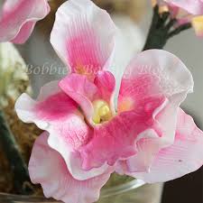 Instant quality results at searchandshopping.org! How To Make Orquidea Sugar Flowers Tutorial Fondant Flower Tutorial Gum Paste Flowers Tutorials