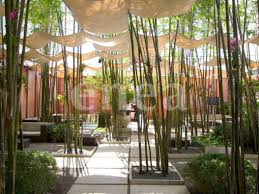 Die Farben Und Gerausche Des Regenwaldes Enea Landschaftsdesign Gartendesign Ideen Grune Architektur