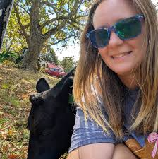 What are good logging companies in Bedford County for tree removal?