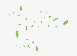 Fall leaves transparent background clipart. Falling Green Leaves Png Transparent Image Portable Network Graphics 650x521 Png Download Pngkit