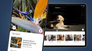 It is a historical reference app by google llc, an excellent translate lens alternative to … How To Use Google Lens On Your Iphone Or Ipad Techradar