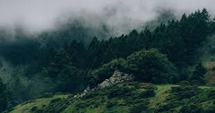 10 Mac Wallpaper Tumblr Aesthetic 38 Aesthetic Green Pc Wallpapers On Wallpa In 2020 Nature Desktop Wallpaper Laptop Wallpaper Desktop Wallpapers Landscape Wallpaper