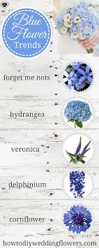 Check spelling or type a new query. Account Suspended Blue Wedding Bouquet Blue Wedding Flowers Wedding Centerpieces Diy Blue