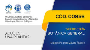Las plantas deben cultivarse en sus biotopos de origen. Botanica General 00856 Que Es Una Planta Youtube