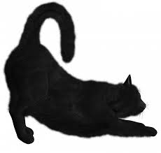 Black Cat Png Transparent Image Cat Download Png File Black Cat Pngget To Download Free Black Cat Png Vector Photo In Image Cat Cats Illustration Cat Photo