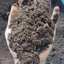 Selain mempercantik kamar, lidah buaya juga merupakan tanaman obat yang berguna untuk untuk mengobati luka bakar ringan. 2kg Media Tanam Siap Pakai Tanah Kompos Pupuk Organik Cocopeat Sekam Bakar Shopee Indonesia
