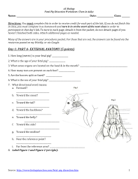 Choose from 500 different sets of flashcards about fetal pig dissection lab answers on quizlet. Worksheets To Complete W Dissection