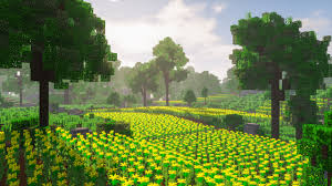 ⭐️ gutscheine für eure liebsten. Seeds Support Minecraft Pixelbiester