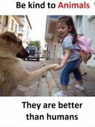 Be Kind To Animals Happy Animals Animals Cute Animal Memes