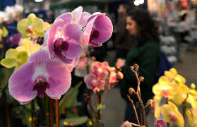 Maybe you would like to learn more about one of these? Learn About Birds Bees Flowers Trees At Nashville Lawn Garden Show