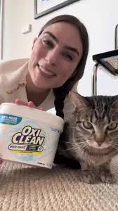 4 Amazing Uses for OxiClean™ White Revive™