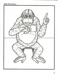 Animal alphabet coloring sheets free alphabet coloring pages, letter printables, cute animal images for coloring the alphabet, and c. Abc Coloring Sheets By Accelerated Christian Education