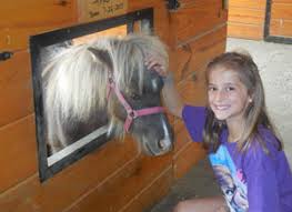 Accessibility the zoo was designed with everyone in mind. 10 Top Petting Zoos In Lancaster Pa Lancasterpa Com