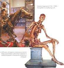 Welcome to innerbody.com, a free educational resource for learning about human anatomy and physiology. The History Of Anatomy From The Beginnings To The 20th Century