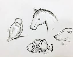 Quick And Rough Sketches Of Animals Created Using Pencil And Pen Animal Sketches Animal Sketches Easy Hooved Animal