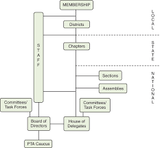 american physical therapy association musculoskeletal key